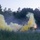 Practice Makes Perfect: 2nd LAR conducts MCCRE