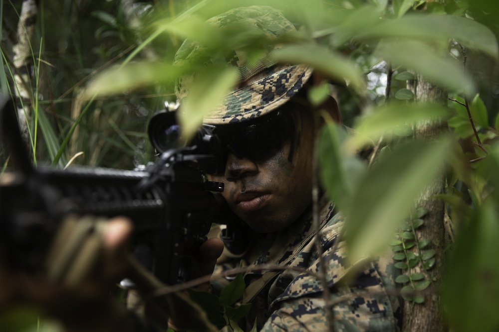Jungle Warfare Exercise
