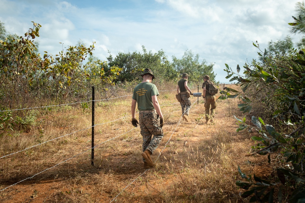 Exercise Crocodile Response