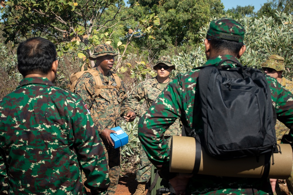 Exercise Crocodile Response