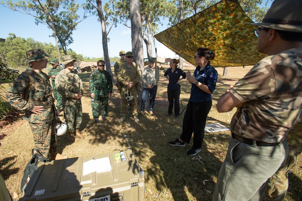 Exercise Crocodile Response