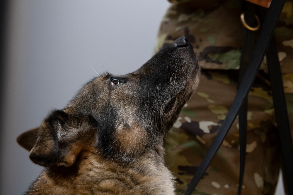 Sabers honor MWD with retirement ceremony
