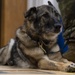 Sabers honor MWD with retirement ceremony