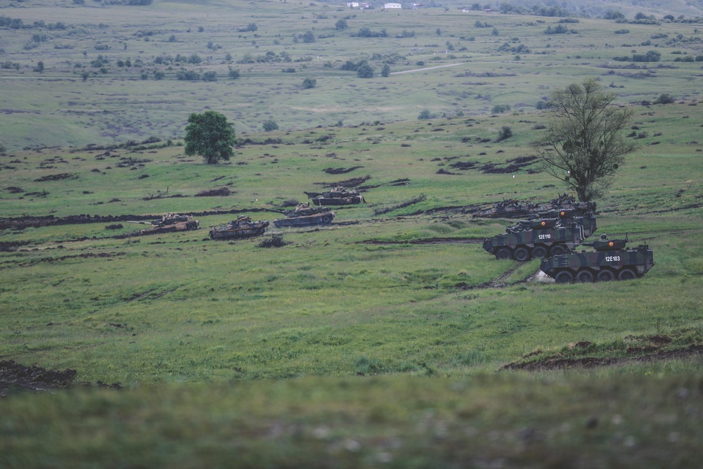 STEADFAST DEFENDER 21 Joint Allied Power Demonstration Day
