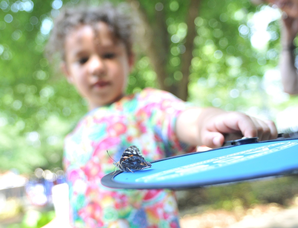 Butterfly Release honors fallen, surviving families