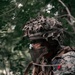 Forest Fighters: Marines with 3/2 Conduct Raids as Part of Exercise Raven