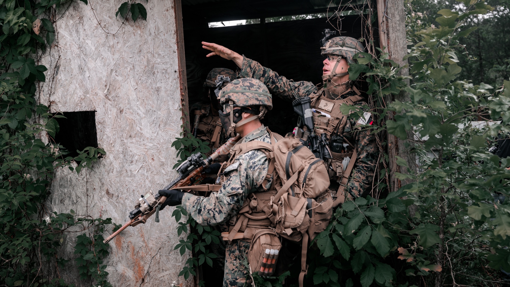 DVIDS - Images - Forest Fighters: Marines with 3/2 Conduct