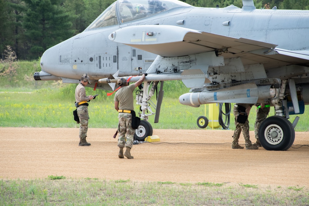 354th Fighter Squadron A-10