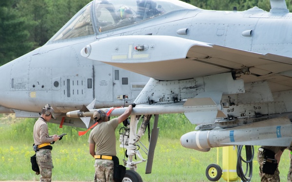 354th Fighter Squadron A-10