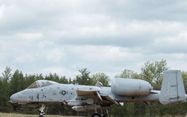 354th Fighter Squadron A-10