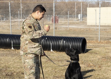 Louie’s new beginning