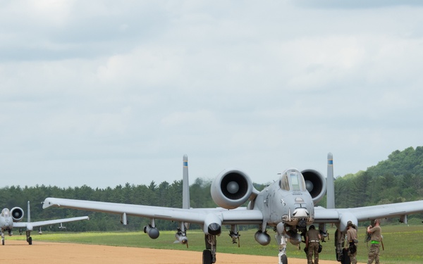 354th Fighter Squadron A-10