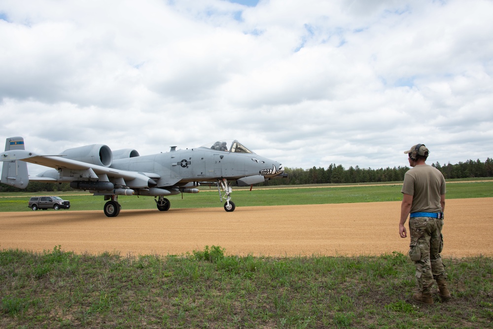 354th Fighter Squadron A-10