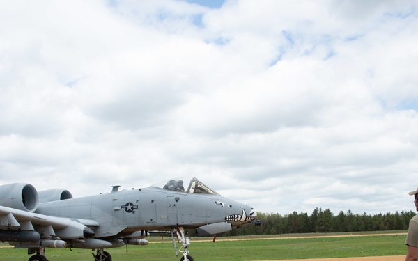 354th Fighter Squadron A-10
