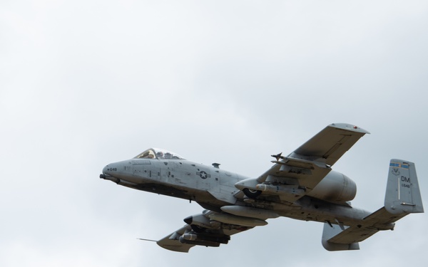 354th Fighter Squadron A-10