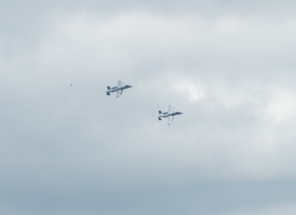 354th Fighter Squadron A-10