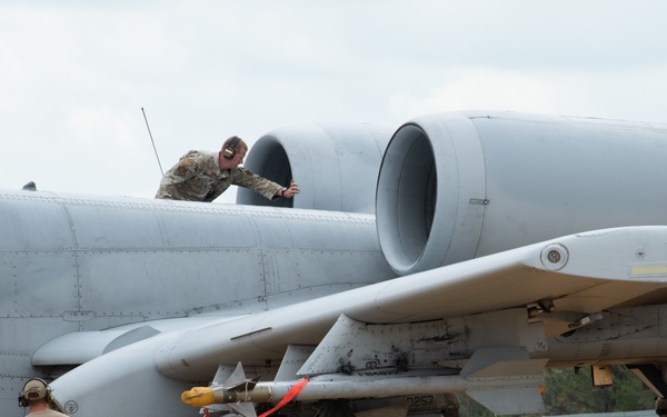 354th Fighter Squadron A-10