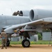 354th Fighter Squadron A-10