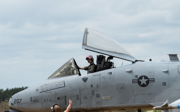 354th Fighter Squadron A-10