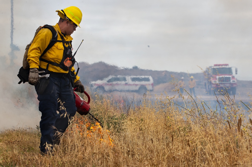 Pendleton firefighters ignite brush during prescribed burn