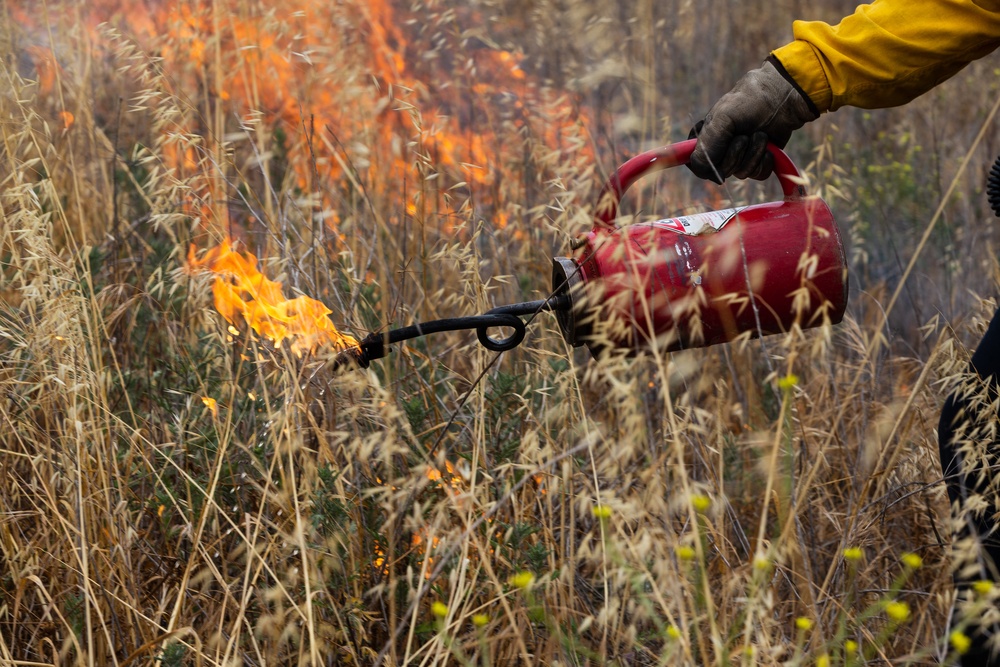 DVIDS Images Pendleton firefighters ignite brush during prescribed