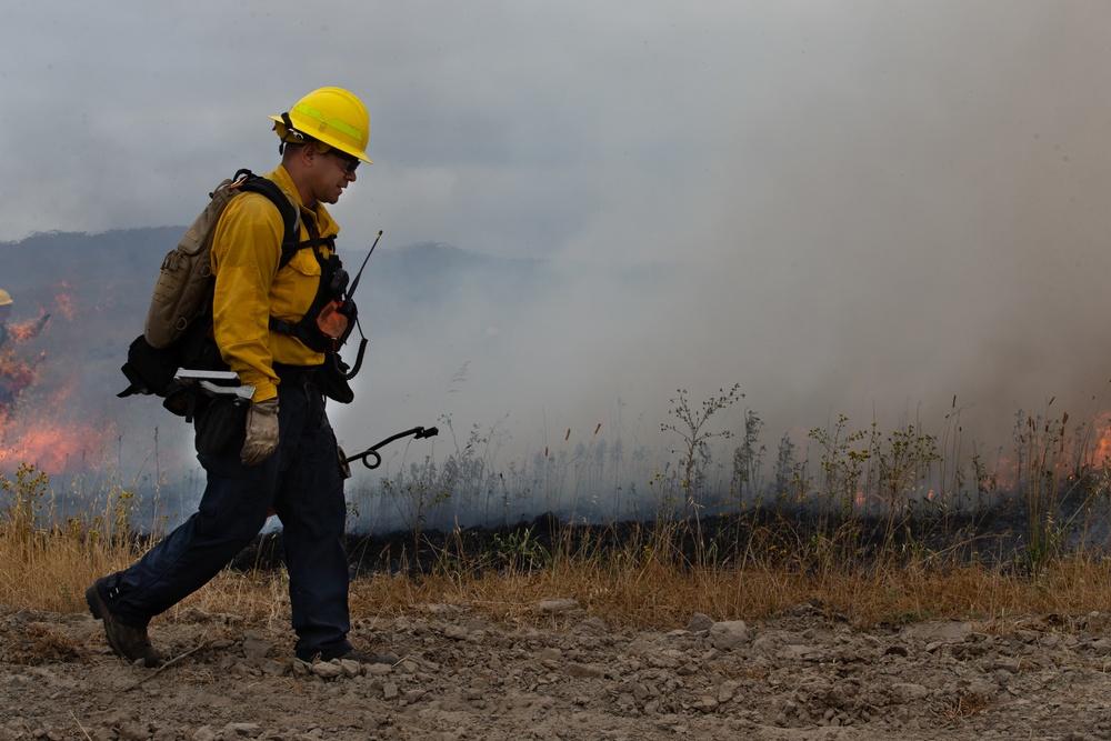 Pendleton firefighters ignite brush during prescribed burn