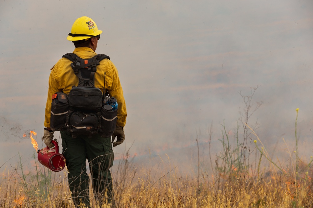 DVIDS Images Pendleton firefighters ignite brush during prescribed