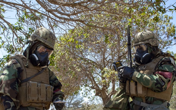 NMCB-3 Completes CPX-2&amp;3