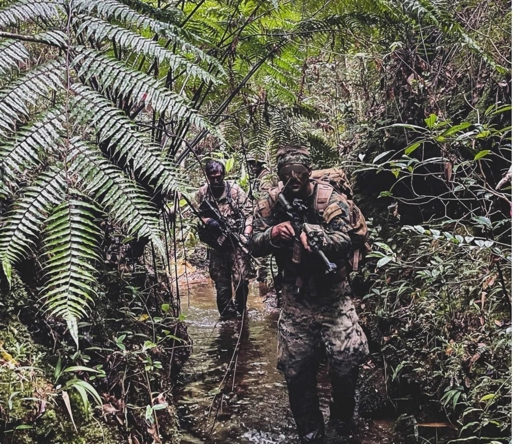 1SFG (A) Jungle Warfare Training