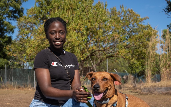 MRF-D volunteers at RSPCA Darwin