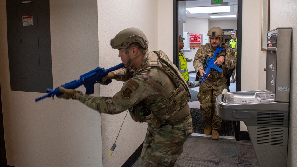 Exercise Tests Gowen's Response Force