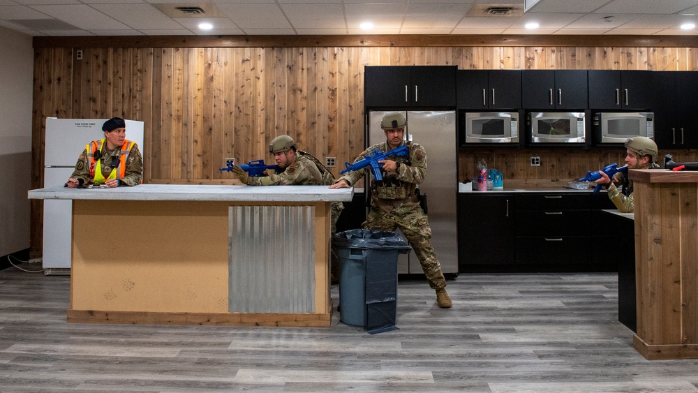 Exercise Tests Gowen's Response Force