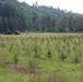 South Carolina National Guard UH-60s helicopters conduct joint-training with South Carolina Forestry Commission firefighters