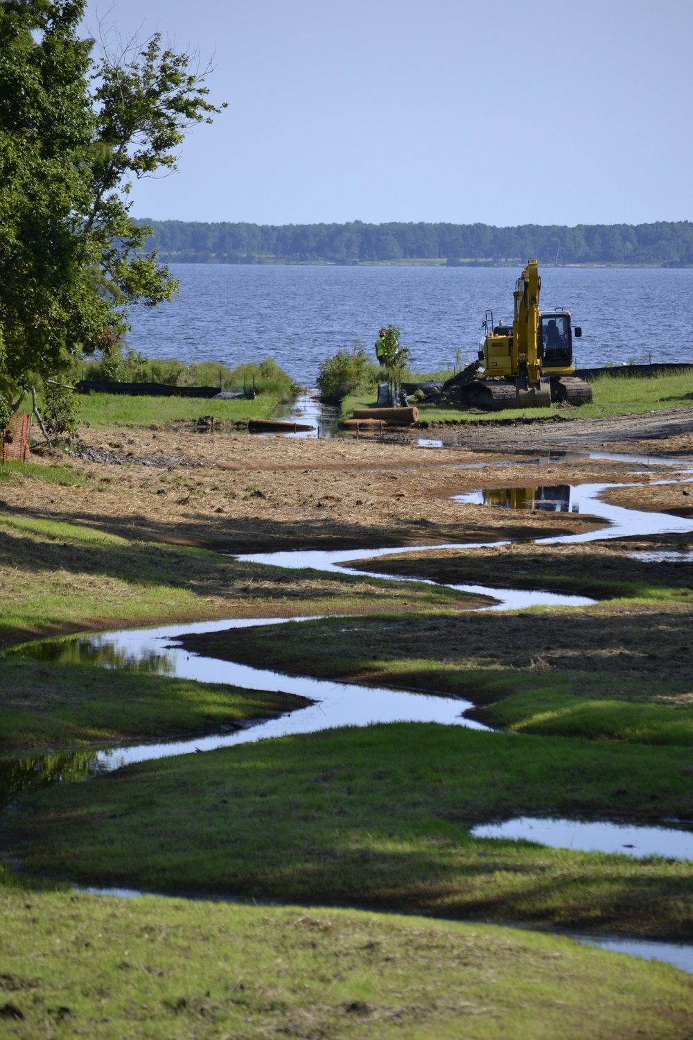 Cherry Point’s Resiliency Restores Ecosystems