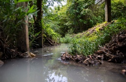 Cherry Point’s Resiliency Restores Ecosystems
