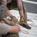 31st RQS: search rescue swiss army knife