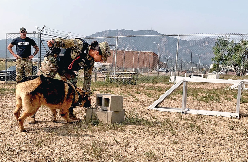 Event to showcase military working dogs