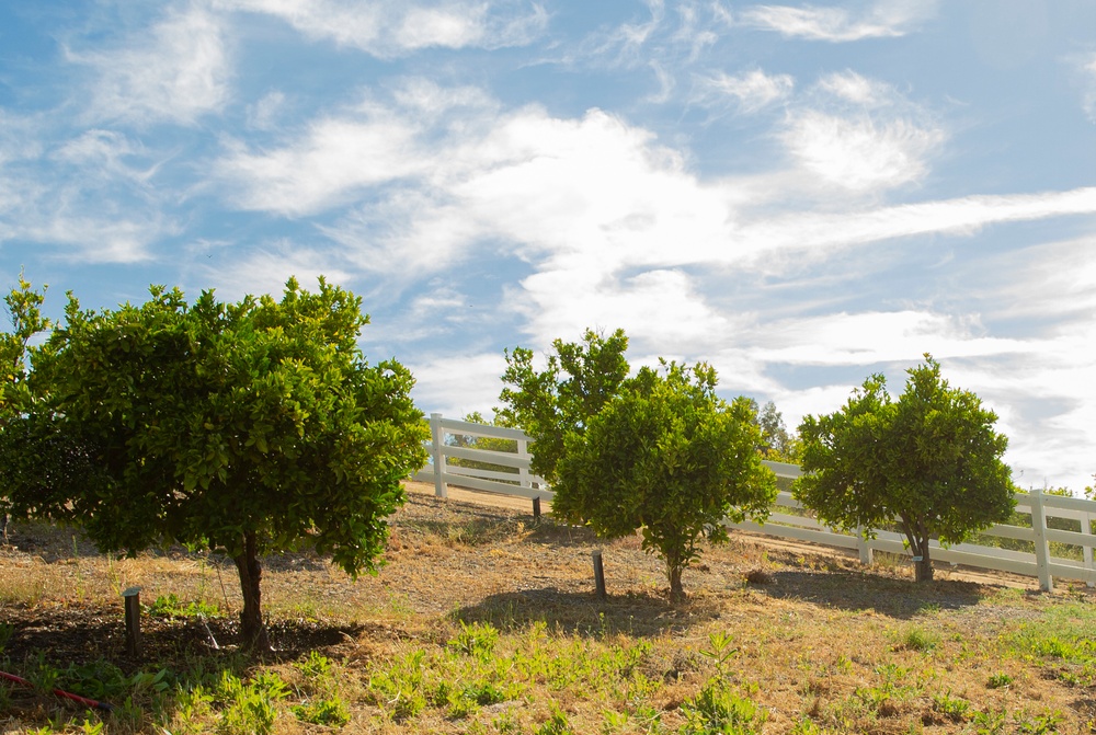 1st Intel Battalion Community Volunteering