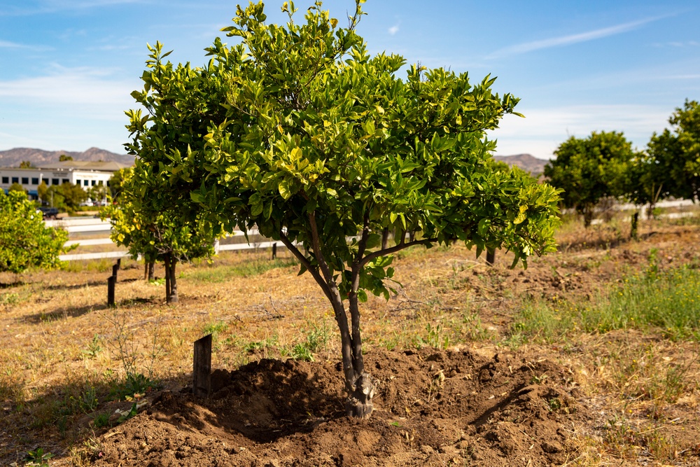 1st Intel Battalion Community Volunteering