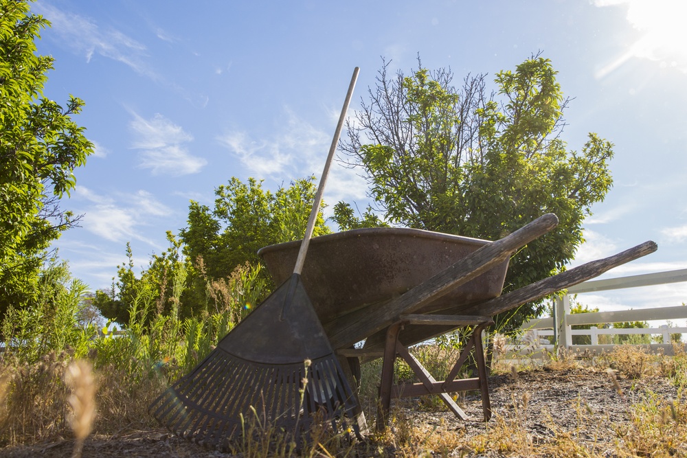 1st Intel Battalion Community Outreach