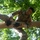 Eighth Army 2021 Best Warrior Competition Eighth Army 2021 Best Warrior Competition