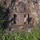 Poseidon’s Watchtower 21