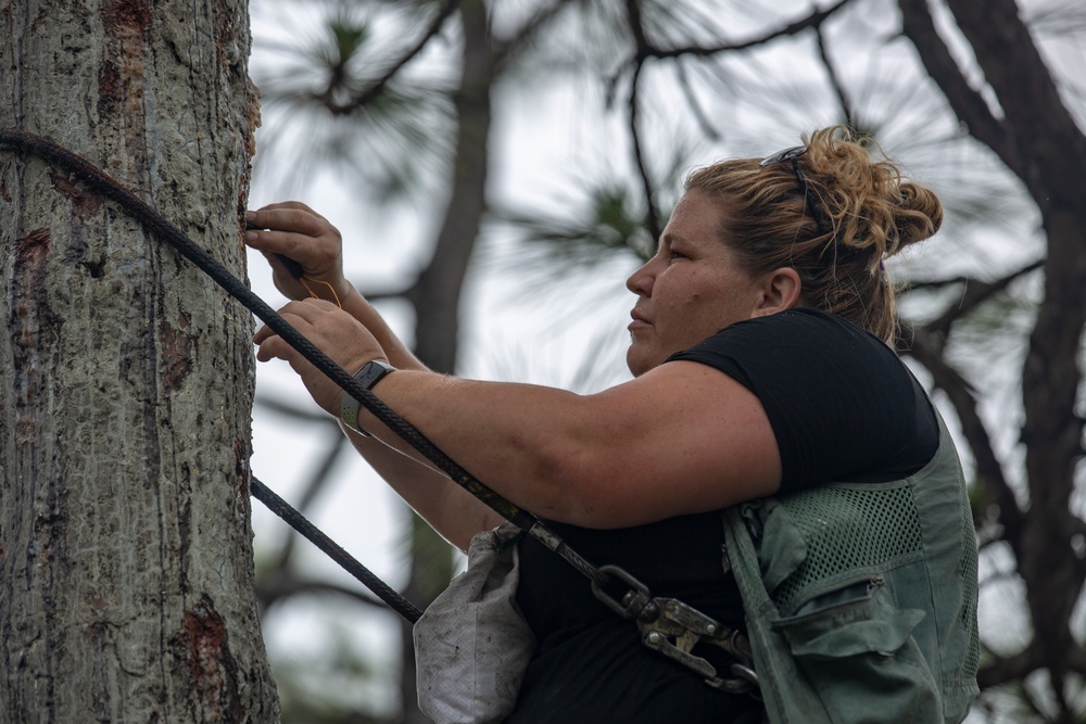 Wildlife Conservation on Marine Corps Base Camp Lejeune