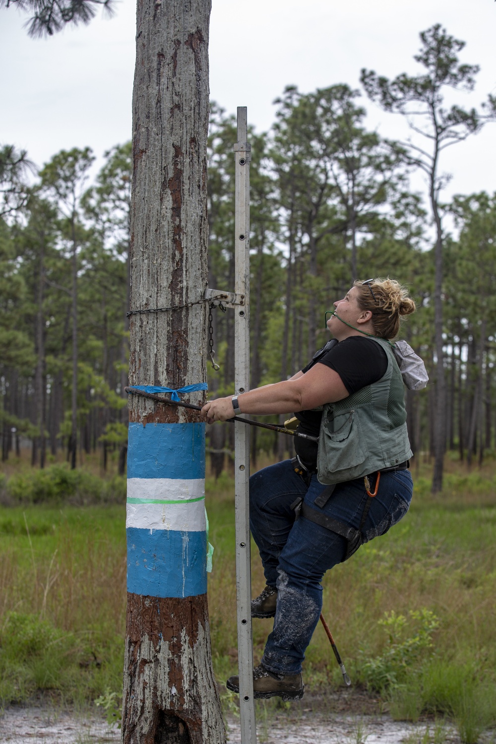 Wildlife Conservation on Marine Corps Base Camp Lejeune