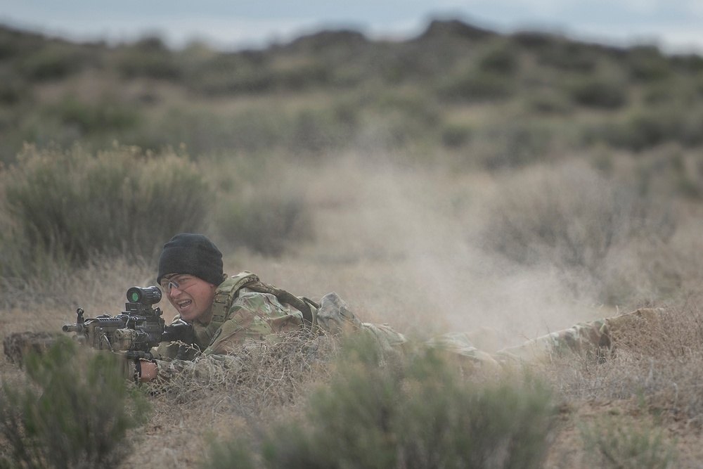 Annual Training Review In Pictures - Idaho Army National Guard