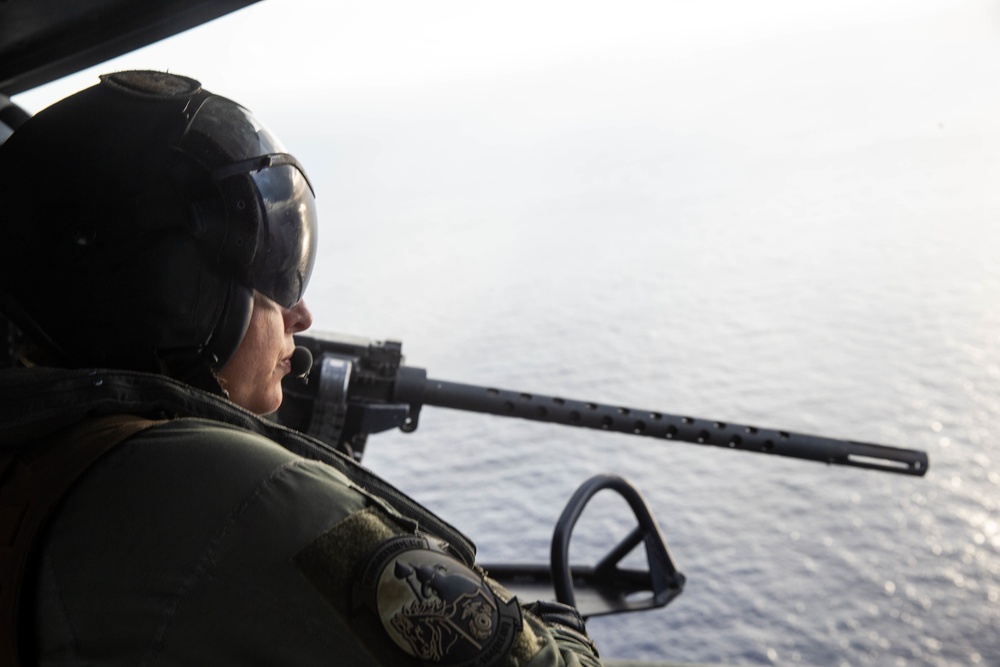 15th MEU Marines conduct close-air support and military working dog familiarization training