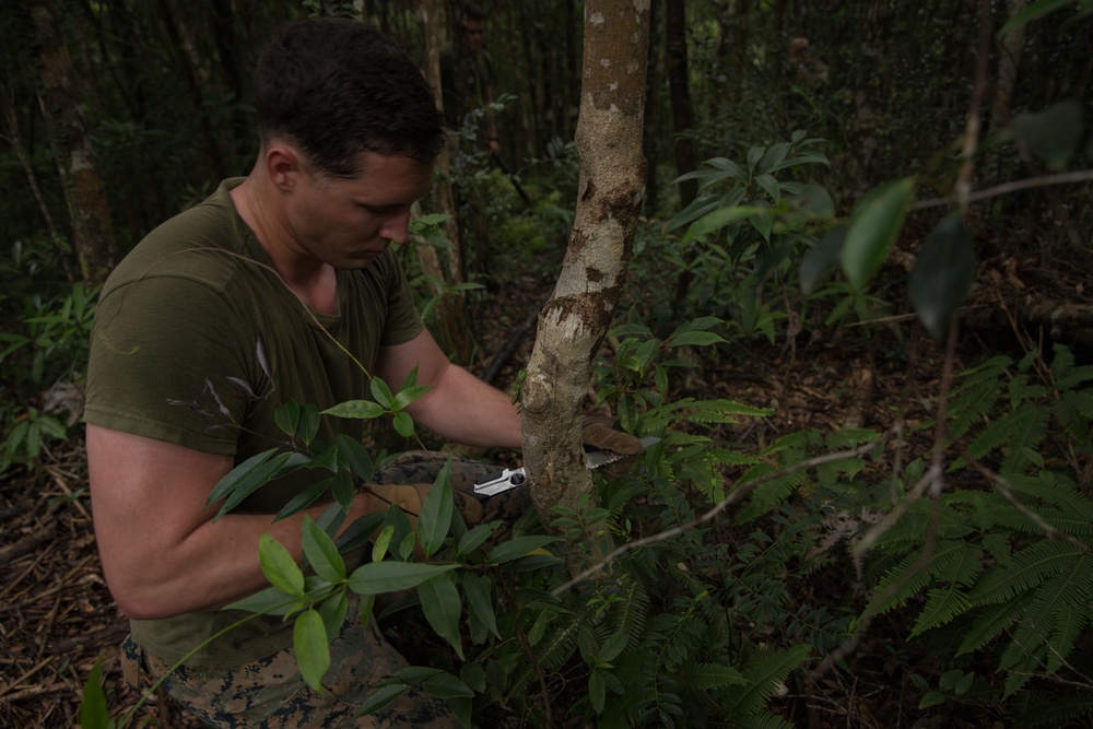 Castaway | Marines with EOD Co. conduct Jungle Warfare Training