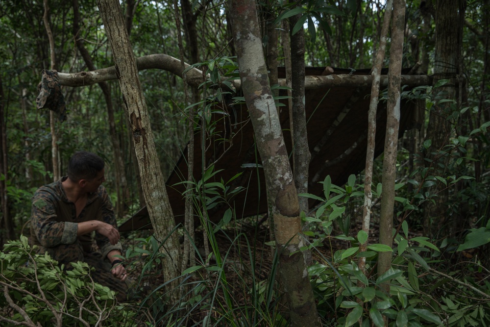 Castaway | Marines with EOD Co. conduct Jungle Warfare Training