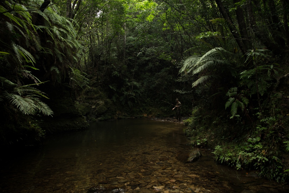 Castaway | Marines with EOD Co. conduct Jungle Warfare Training