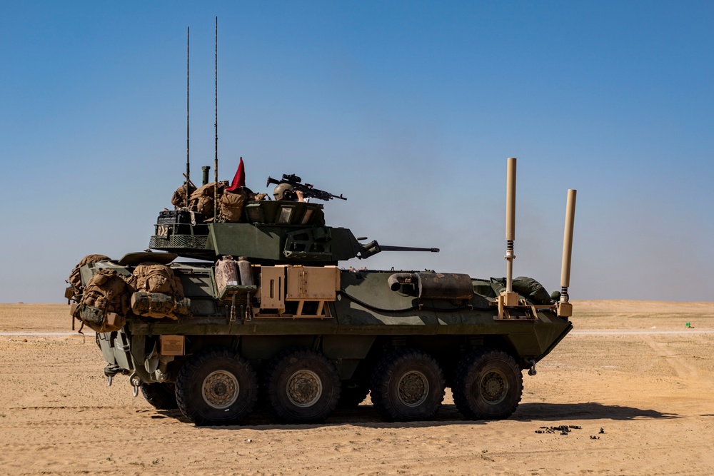 U.S. Marines with Light Armored Reconnaissance Detachment conduct a live-fire range